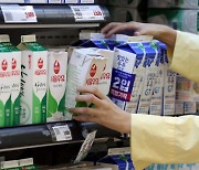 서울우유, 우유 가격 올린다.. 유제품 도미노 인상 '초읽기'