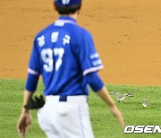 그라운드 점령한 새에 경기 중단된 LG-삼성전 [사진]