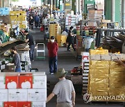 송파구, 가락시장 폐기물 종량제봉투 가격 인하