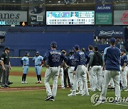 '타자 분석 쪽지'가 부른 MLB 탬파베이-토론토 보복구 논쟁