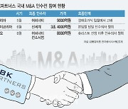 [마켓인]'M&A 큰 손?'..국내 시장서 자취 감춘 MBK파트너스