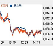 [코스닥 마감]외인·기관 동반 순매도에 보합권.. 이틀째 1030선