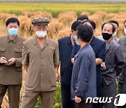 북한 김덕훈 내각총리, 수확철 맞은 농촌 일대 점검