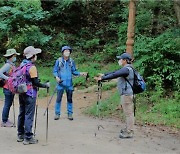 김해시, 안전하고 색다른 등산 돕는 '숲길 탐방 프로그램' 운영