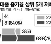 저축은행 가계대출 총량한도 '21%'..상반기만에 초과업체 속출