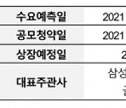 카카오페이, IPO 연기.."11월 3일 상장 목표로 공모일정 재개"