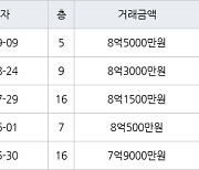 성남 금곡동 금곡청솔마을주공9단지 42㎡ 8억5000만원에 거래