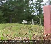 "말뚝 박고, 비석 뽑고"..춘천서 묘소 집단 테러 발생