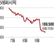 K-뷰티 '흔들'..아모레퍼시픽 '내리막'