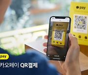 Kakao Pay delays IPO plan on heightened consumer safeguards