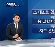 [픽뉴스] 화장실 가는 소 / 김밥집 별점 테러 / 반려동물 랜덤뽑기 / 1kg 2만 원