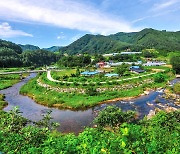 [화촌일기] 인간은 山의 살과 뼈를 발라냈지만..자연의 치유력은 놀랍다