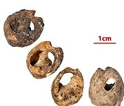[핵잼 사이언스] 인류 최초의 액세서리..15만 년 전 '구슬 장신구' 발견