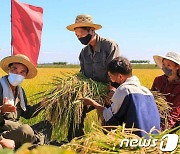 농업 성과 위한 '사상의 포문' 강조하는 북한