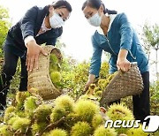 '산열매 확보' 나선 북한 "산을 잘 이용해야 한다" 강조