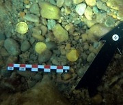 해저 청소하던 다이버들, 1500년 전 로마시대 금화 무더기 발견