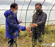 [동정]산림청장, 몽골 룬솜지역 조림성공지·양묘장 점검