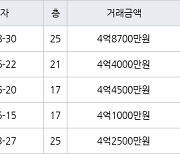 부산 반여동 센텀SK뷰 103㎡ 4억8700만원.. 역대 최고가