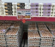 농협, 계란 한판 최저 4590원에 판매..특별 할인행사