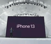 中心 잡은 '아이폰13'..스마트폰 시장, 내년에도 애플 천하?