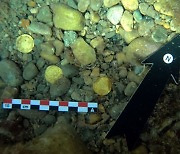 바닷속 쓰레기 청소하는데 '반짝'..1500년 전 로마 금화 무더기 발견