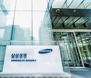 "신의 한수 통했다" 해외에서 돈 버는 보험사들