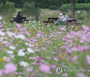 일교차 큰 가을 날씨..동해안·제주 낮까지 비