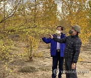 최병암 산림청장, 몽골 룬솜지역 조림성공지와 양묘장 점검