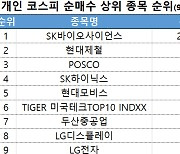 코스피 주간 개인 순매수 1위 'SK바이오사이언스'