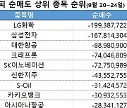 코스피 주간 개인 순매도 1위 'LG화학'