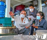 북한 경공업연구원, 화학보조약제 국산화 노력