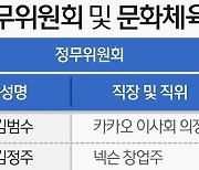 IT기업 CEO '수난시대'..'플랫폼 국감'에 상임위마다 줄소환