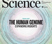 [표지로 읽는 과학] 점점 밝혀지는 인간 게놈, 새로운 치료 시대 열릴까