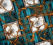 삼성전자, 뇌 신경망 '복붙'하는 차세대 메모리 반도체 기술 제안
