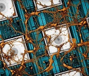삼성전자, 뇌 닮은 '뉴로모픽 반도체' 논문 네이처 게재
