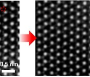 [지금은 과학] 초박막 반도체의 결함, 전극 물질이 치유한다