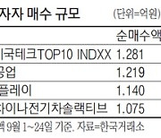 개미들, 이달 美기술주 ETF 집중 매수