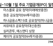 '2차전지·반도체 소재·중고차'..알짜배기 기업 IPO 쏟아진다