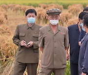 식량난 심각한 北, 추수 속도전.."자연재해 최소화"