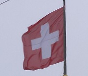 스위스도 동성 결혼 합법화할 듯..국민투표 과반 찬성 전망