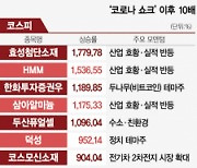 효성첨단소재·HMM·엘앤에프..25개株 '꿈의 10루타' 때렸다