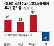 OLED 소재株는 잘 나가는데..'LCD'에 주춤하는 LG디스플레이