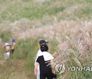 제주 가을 정취 '물씬'