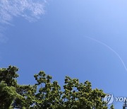 나뭇잎 사이로 보이는 파란 하늘