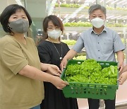 하나로마트 창동점, '스마트 팜' 수확 채소 어린이집에 증정