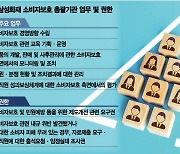 삼성화재 CEO 직속 소비자보호총괄 조직 '막강 권한'(종합)