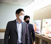 삼성D, 차세대 패널 'QD디스플레이' 11월 양산