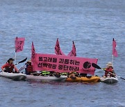 "돌고래 가까이서 관광 안돼요"..선박 접근 제한법 추진