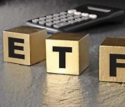 탄소배출권 ETF, 어떻게 투자해야 하나? [더 머니이스트-김태선의 탄소배출권]
