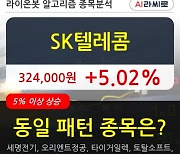 SK텔레콤, 전일대비 5.02% 상승.. 이 시각 거래량 20만5431주